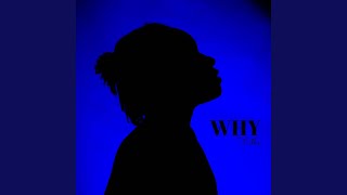 Mutual Thing Music Video