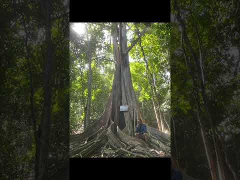 Trilha Mata do Pilão   Cidade Espirito Santo RN