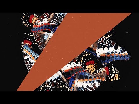 Kidnap feat. Leo Stannard - Grow (Kidnap Dub)