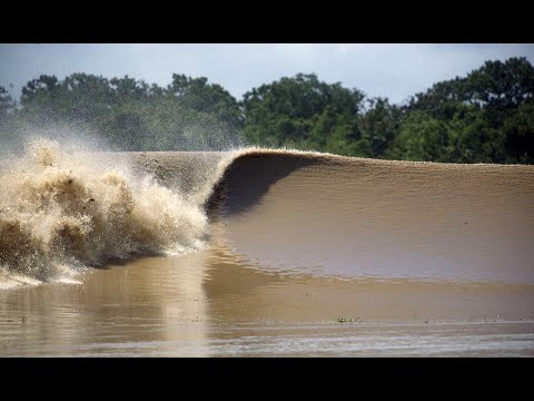 O Fenômeno da Pororoca.