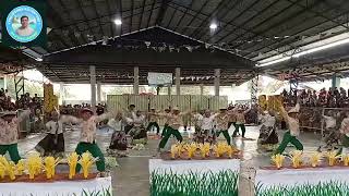 Download lagu Human Humay Fiestival (Rice Fiestival) mp3 Download lagu Human Humay Fiestival (Rice Fiestival) mp3