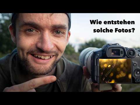 HEIDE fotografieren | Tutorial Naturfotografie