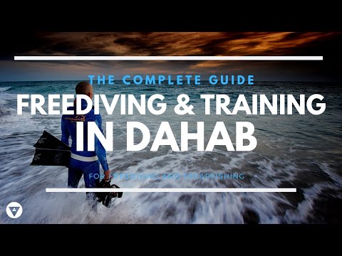 The Complete Guide | All You Need To Know About Freediving & Training In Dahab, Egypt