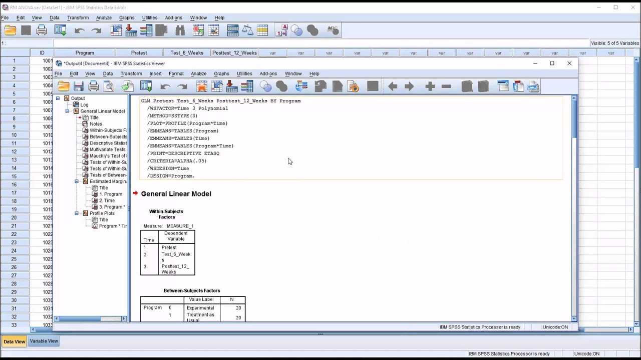 Storing and Using Code in the Syntax Editor in SPSS