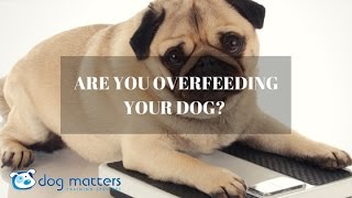 Don&#39;t Overfeed Your Dog