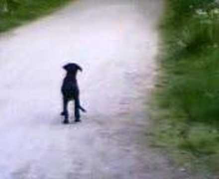 Vihainen mies ja mummo