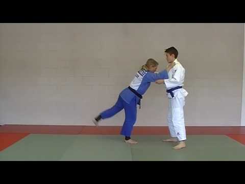 Judo Techniques for Belt Promotion - Brown Belt