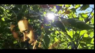 James Horner - All Love Can Be (from "A Beautiful Mind") - Piano Cover and Tribute