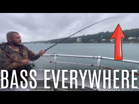 BASS FISHING on BANGOR PIER! U.K. Sea Fishing 🎣 🦈