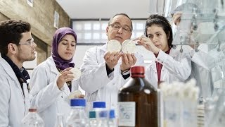 Les huiles essentielles et les antibiotiques