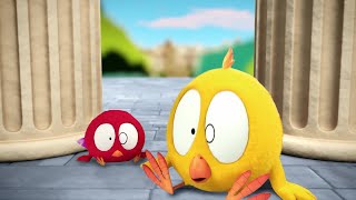 Chicky on a trip | Where's Chicky? | Cartoon Collection in English for Kids | New episodes