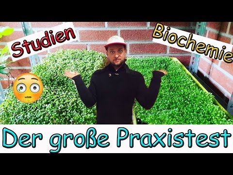 Wie wer mit der Schuppenflechte zurechtkommt Die Schuppenflechte und zinkowaja die Salbe die Rezensionen von