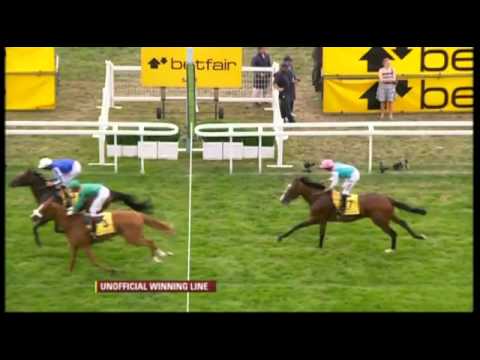 2010 King George VI & Queen Elizabeth Stakes - Harbinger