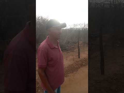 vamos  no  açude do Imbé Nova floresta Paraíba!