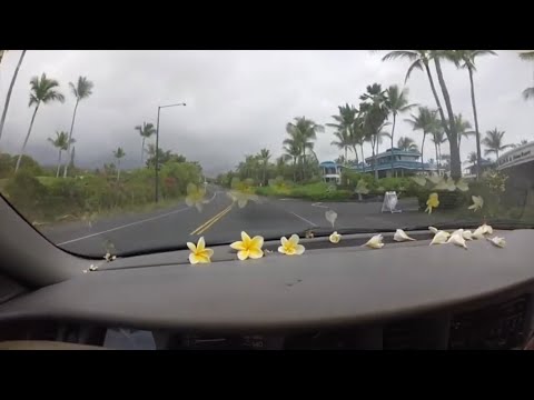 The Jeffrey James Show - Ocean Breeze (Official Music Video)