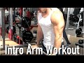Logos Fitness Introductory Arm Workout Mei Fitness Carmel IN