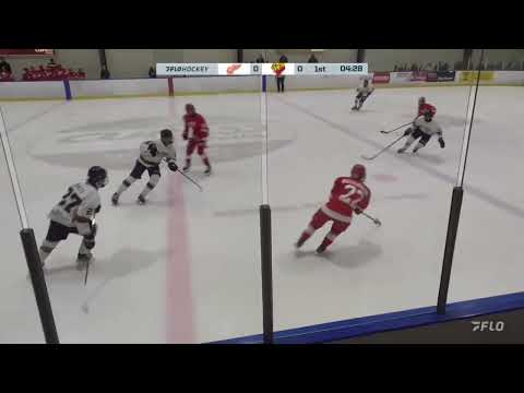 Silver Sticks GAME #2 (2024-11-29) Sun County Panthers vs Toronto Red Wings