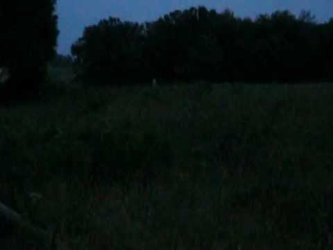 Gettysburg: Wheatfield Fife and Drums