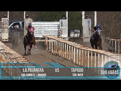LA PAJARERA CDA. SANTA FE / AMADOR VS TAPADO CDA. MATA. ABIERTO EN 300 VARAS.