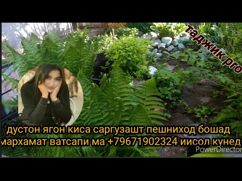 Бо сабаби дер ба шавхар баромаданам ? 29 мая 2020