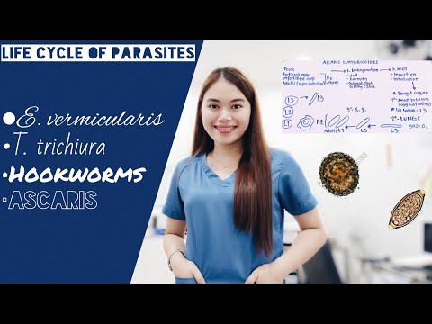 LIFE CYCLE OF PARASITES [Part 2]