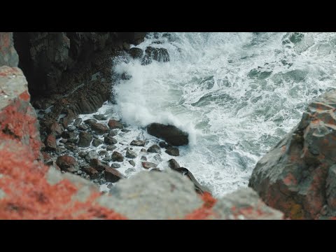 Fred V - Icarus (Official Video)