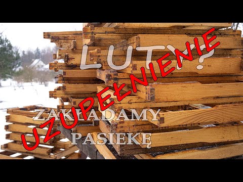 February - the best time to set up an apiary, part 1. SUPPLEMENT