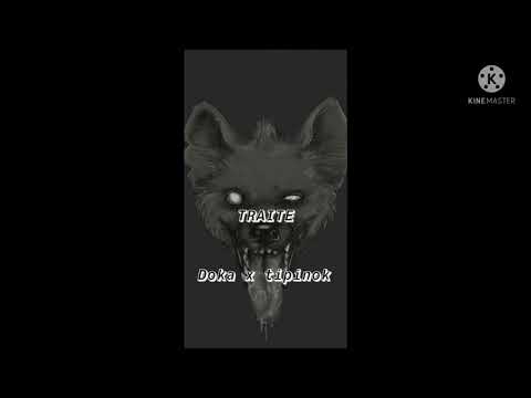 Doka x Tipinok (Tret)