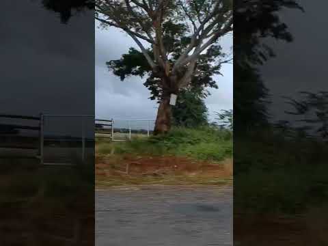 Mato Verde MG à Catuti MG #agroétop #nortedeminas