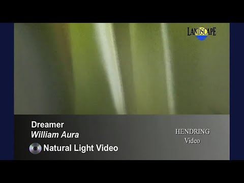 William Aura - Dreamer (Art of Landscape)
