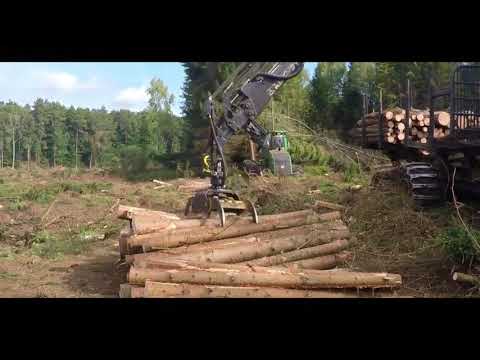 CTRL DELETE - W OBRONIE PUSZCZY (Feat. DOMEK, prod. DUTSKY)