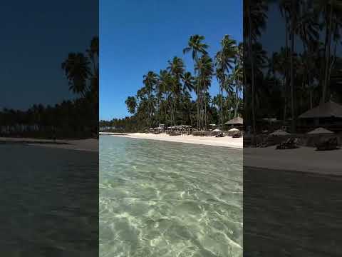 Um daqueles lugares que parecem cenário de filme. 🌴💙