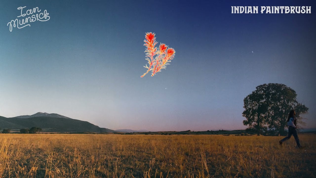 Indian Paintbrush by Ian Munsick from USA Popnable