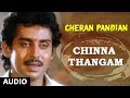 Chinna Thangam Song | Cheran Pandiyan Songs | Sarath Kumar, Srija, Soundaryan | Tamil Old Songs