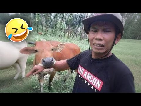 Funniest Fails Compilation | Best Funny Fails Compilation | Episode - 184 | ClipBoy