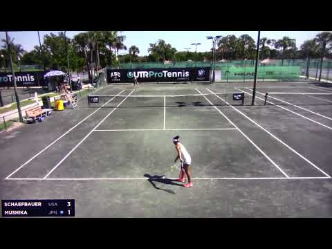 Schaefbauer v  Mio Mushika