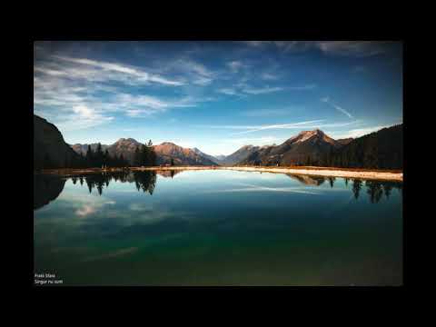 Fratii Sfara - Singur nu sunt