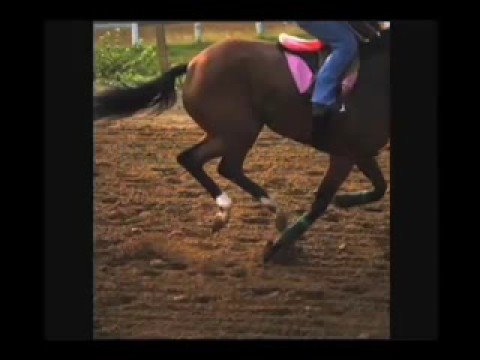 Dirt vs. Polytrack
