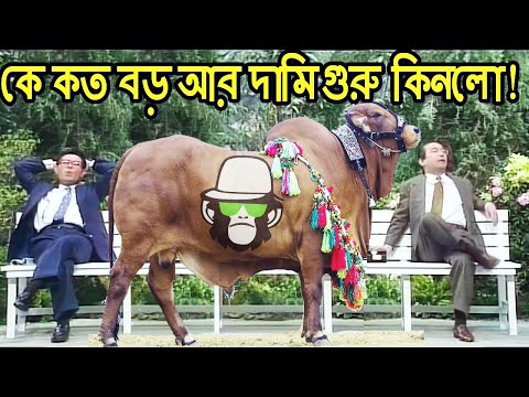 কাইশ্যার ঈদের গরু নিয়ে চাপাবাজি | Kaissa Funny Eid Goru | Bangla  Comedy Dubbing