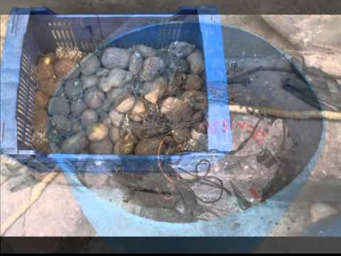 Fotografías de Robres del Castillo