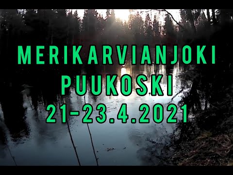 Kirjolohen kalastus | Merikarvianjoki | Puukoski 21-23.4.2021