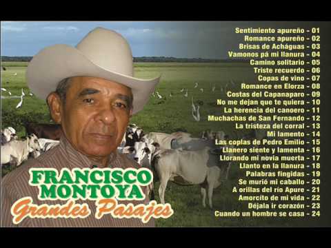 FRANCISCO MONTOYA  GRANDES PASAJES