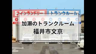 YouTube動画