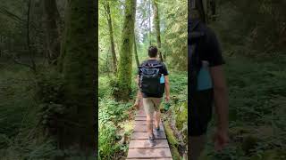 Einer der schönsten Wanderwege Deutschlands ist im Saarland: Der Felsenweg #shorts #visitsaarland