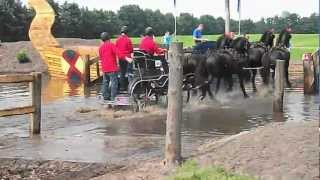 preview picture of video 'Paardenmarathon Wouterswoude/Driesum 2012'