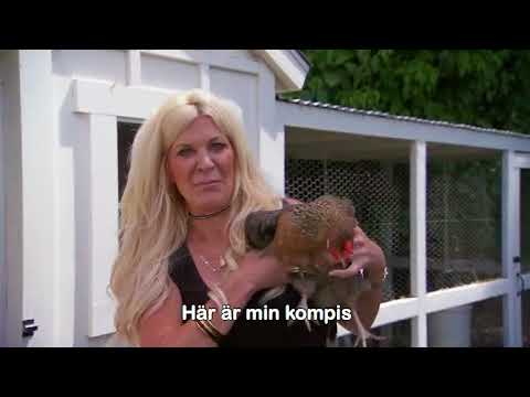 Hönan Sideburn- Maria Montazami Svenska Hollywoodfruar