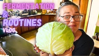 Finding Structure in Fermentation | Homestead Routines | Hamakua Homestead