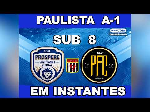 AO VIVO - Prospere Hortolândia X Pulo Campinas - sub-9 - Campeonato Paulista A1