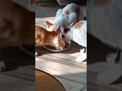 # unity # love#friendship #