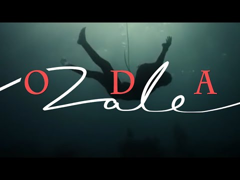 ZALE - ODA